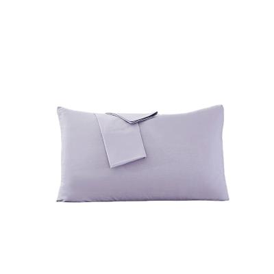 China Anti-static outdoor hotel and household 40 cotton pillow case plain plug pillow case for sale