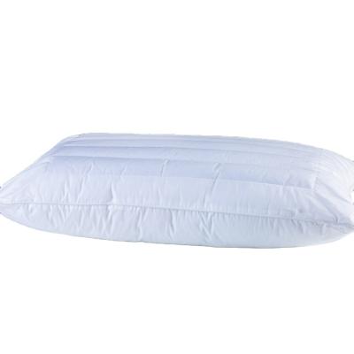 China Memory Meditation Home Used Buckwheat Pillows Custom Pillow Form Cheap Hotel Pillow Filling for sale