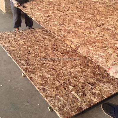 China Modern Glue OSB4 OSB Pine Wood Phenolic Board for sale