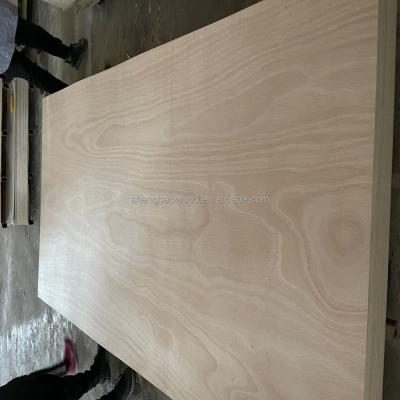 China Contemporary Okoume Hardwood Plywood South America for sale