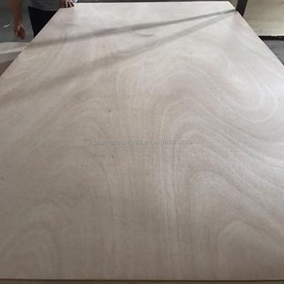 China Contemporary plywood 1220*2440mm from Okoume/Bintangor/Poplar/Birch/Pine/Hardwood for sale