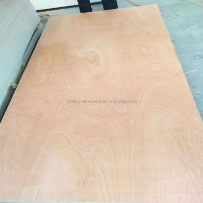 China Contemporary Cheap Commercial Hardwood Plywood 1220x2440mm for sale