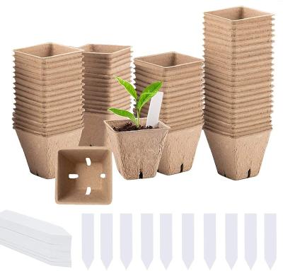 China Biodegradable Protective Mailer 100% Paper Pulp Eco-Friendly And Biodegradable Customized Packaging for sale