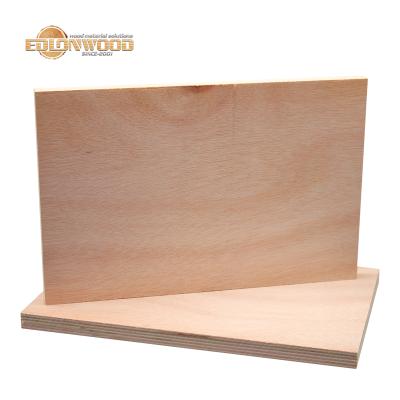 China Edlon 12mm waterproof eucalyptus okoume plywood waterproof 18mm modern commercial phenolic veneer for sale