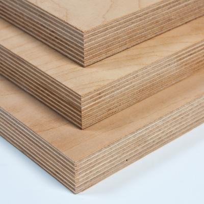 China Mid Century Commercial Edlon 18mm Birch Plywood 3mm 5mm 7mm 9mm 12mm 15mm for sale