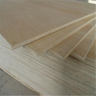 China Industrial Commercial 18mm Edlon Birch Plywood 3mm 5mm 7mm 9mm 12mm 15mm for sale