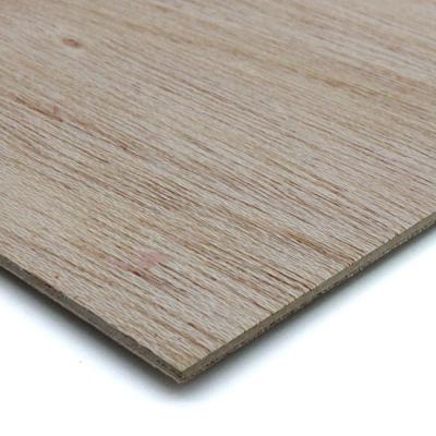 China Natural Edlon 3mm paulownia high quality soft bendable plywood for sale