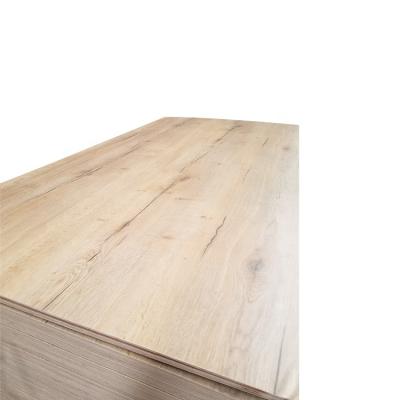 China Modern High Quality Commercial Hardwood Anti-Slip Film Faced Hardwood Plywood for sale