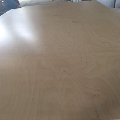 China Modern White Birch Plywood 18mm Carburetor e0 Cabinet UV Plywood for sale