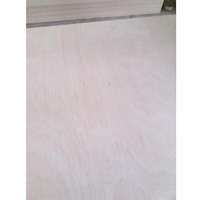 China Hotel Baltic Birch Plywood 18mm White Birch Russian Plywood for sale