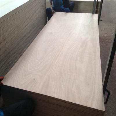 China Modern Indoor Edlon China Okoume Veneer Commercial Plywood Sheet For Furniture for sale