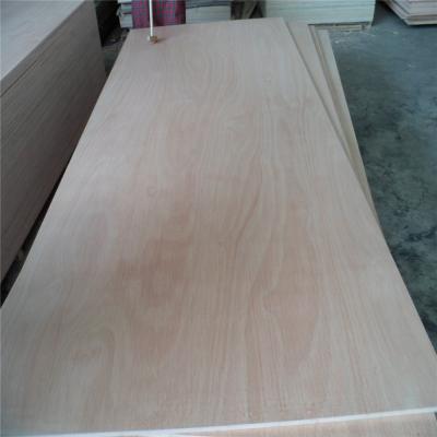 China Modern maderas Triplay tropicals okoume bintangor hardwood veneer plywood prices for sale