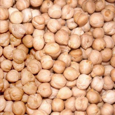 China Knusperiger Fried Roasted Bean Snacks Nutritious Chick Peas Snacks zu verkaufen