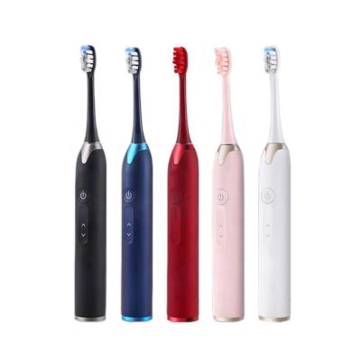 China SA205 Adult Battery Operated Sonic Electric Tooth Cheap Battery Operated Brush for sale