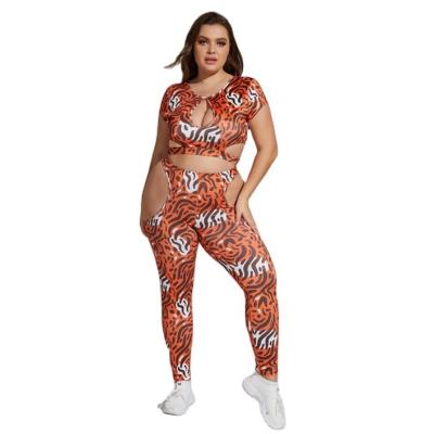 China Gym Workout Equipment Sports Fitness Print Breathable Dropshipping XXXL Animal Butt Lifting Plus Size Tight Two Piece Yoga Sport Set for sale