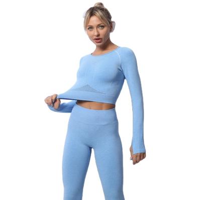 China 2 Piece Breathable Shade Seamless Workout Set Yoga Sets Women Gym Clothes Long Sleeve Fitness Clothing Activewear Set for sale