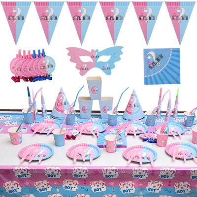 China Boy or Girl Disposable Hot Selling Gender Reveal Party Decoration Set Birthday Tableware Supplies Decorations for sale