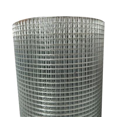 China High Quality Hot Dipped Galvanized Welded Cages Wire Mesh for sale