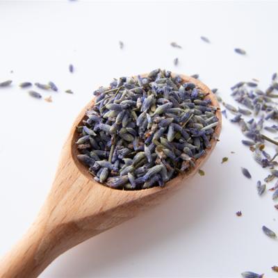 China Loose Tea Wholesale Dried Purple Lavender Flower Tea For Sleep for sale