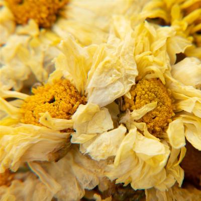 China Antipyretic Famous Chinese Sensitive Scent Chrysanthemum Flower Tea for sale