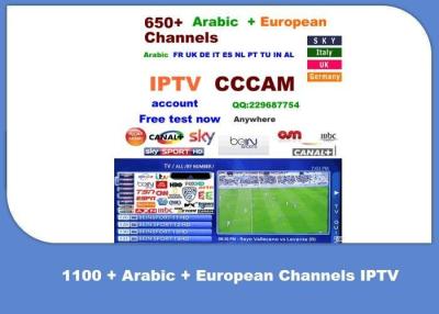 China Androide elegante IPTV APP con los canales árabes y europeos de 650+ en venta