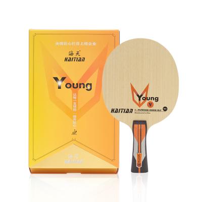 China Daily Sports\Training Flip Hand Training Table Tennis Board Custom Printed Total Classic Brand Table Tennis Blade Table Tennis Blade for sale