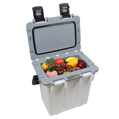 China 2022 Newest OEM 20ltr Color Car Cooler Auto Frozen Cooler Box Charge In Shenzhen Port 33*20*37cm for sale