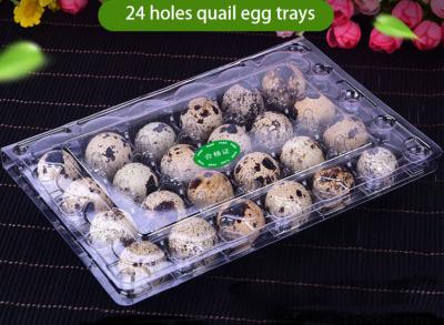 China Transparent Recyclable Disposable Plastic Quail Egg Tray 4x6 Range for sale