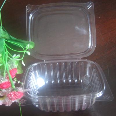 China 8oz Hinged Lid PET Disposable Salad Boxes Rectangular Shape Unbreakable for sale