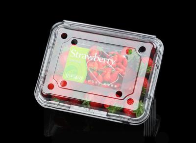 China Caja rectangular clara de la fruta del ANIMAL DOMÉSTICO de la cereza que se sostiene 800ml en venta