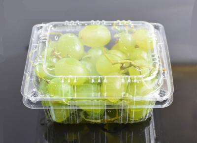 China Containers van het de Druiven de Beschikbare Plastic Fruit van de voedselrang 900ml Te koop