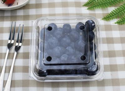 China 120g Plastic Blueberry box, Rectangular 500ml 16oz Clear PET Blueberry Fruit Containers for sale