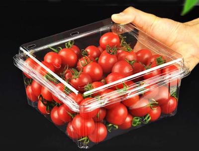 China Rizador de empaquetado de la fruta plástica disponible transparente del ANIMAL DOMÉSTICO en venta