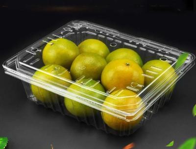 China PET Disposable Transparent Fruit Box Packaging Crisper for sale