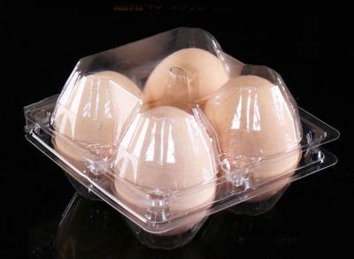 China Durable Clear Egg Containers , Square Egg Cartons With Divider Lightweight for sale