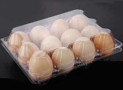 China 41mm Disposable Clear Plastic Egg Cartons PVC Rectangular / 12 Cavities for sale