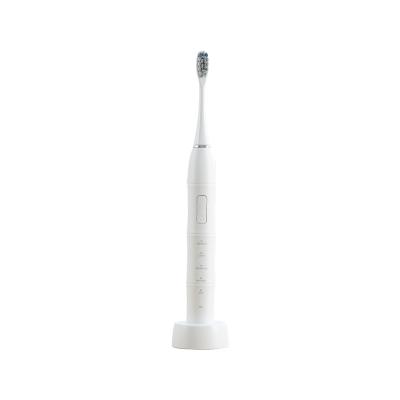 China 2022 New Ipx8 Waterproof Battery Operated Teeth Whitening Sonic Electric Toothbrush for sale