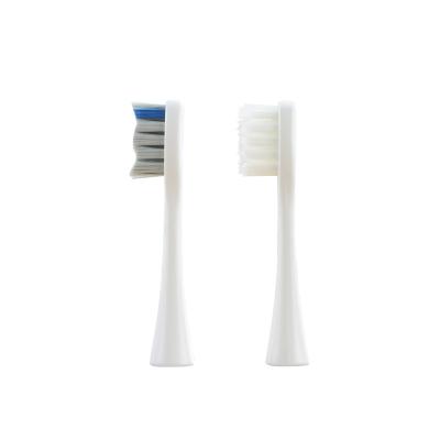 China 2 Pieces Battery Operated Replacement Brush Heads For H6 , Electric Toothbrush T6 Automatic Standard Clean Toothbrush Heads for sale