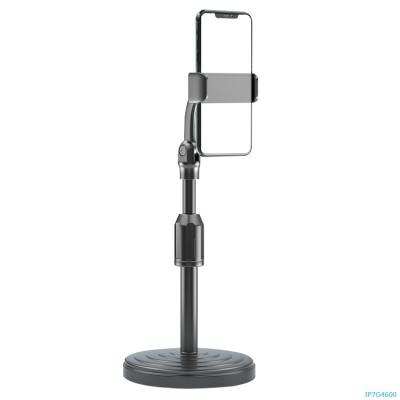 Cina Popular Consumer Adjustable Tablet Holder Table Cell Extend Support Desk mobile stand in vendita