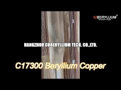 Cuberyllium Copper Rods C17300 1.3mm Dia X 2000mmL With Temper TD04
