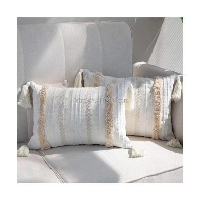 China Bestselling Amazon Canvas Cushions Anti-Static Pillow Case Outdoor Decorations Pillow Cases Protectors Luxury Pillow Cases for sale