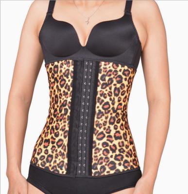 China Antibacterial 4 Boned Multicolor Waist Corset Corset Latex Belt Vest 3 Hook Trainer Leopard Print Shaper Latex Waist Corset Tiny Training Belt for sale