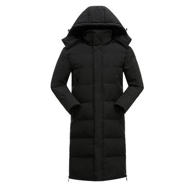 China Cheap Custom Made Premium Quality Ladies Cotton Parkas Waterproof Padded Jacket Hot Sale Regular Sleeve Thick Polyester Liner Casual Thick Plain Dyed for sale