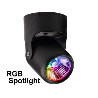 China Modern RGB Wireless Remote Control Floodlight Variable Color LED Down Light for sale