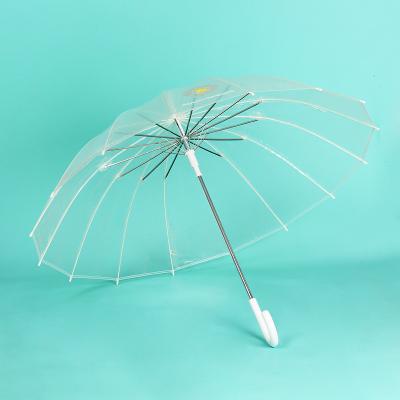 China 16 Bone Poe Umbrella Creative Minimalist Creative Automatic Transparent 8 Bone Long Handle Stem Straight Sunny Umbrella Umbrella Custom Logo for sale