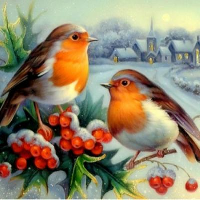 China Modern DIY Diamond Painting Winter Birds for sale