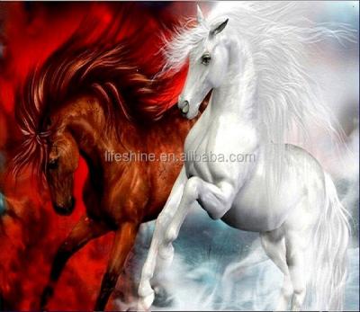 China Modern white and red horse 5d diamond painting embroidery,Chinese diamond painting crystal painting kit diamond maker for sale