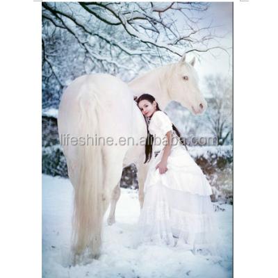 China Beautiful modern girl with a white horse in the snow for winter 5D crystal diamond painting for sale