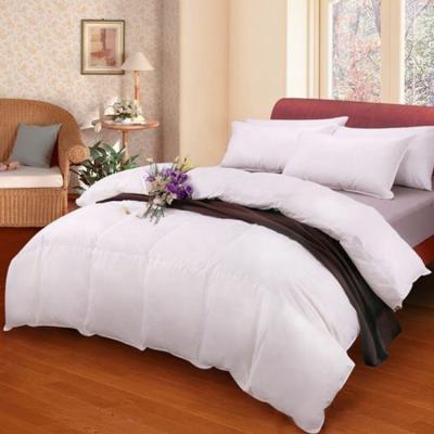 China Hot Selling Home Keep Warm White Cozy 100% Quilted Cotton Filling Down Comforter for sale