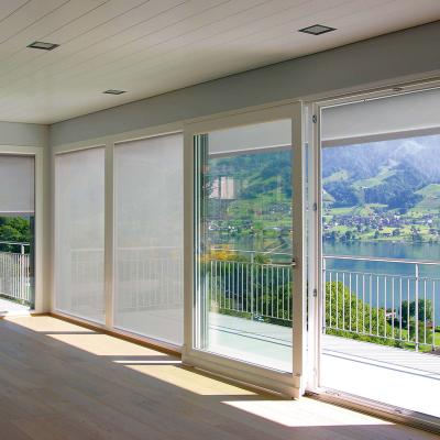 China CLASSIC Outside Windproof Waterproof Shade Motorized Zipper Outside Windproof Roller Blinds for sale